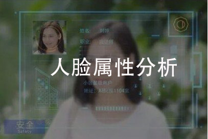 人体属性分析
